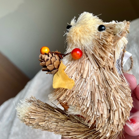 Home decor (NWT) animal & mushroom dried - Picture 10 of 11